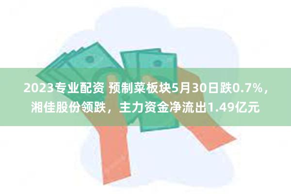 2023专业配资 预制菜板块5月30日跌0.7%，湘佳股份领跌，主力资金净流出1.49亿元