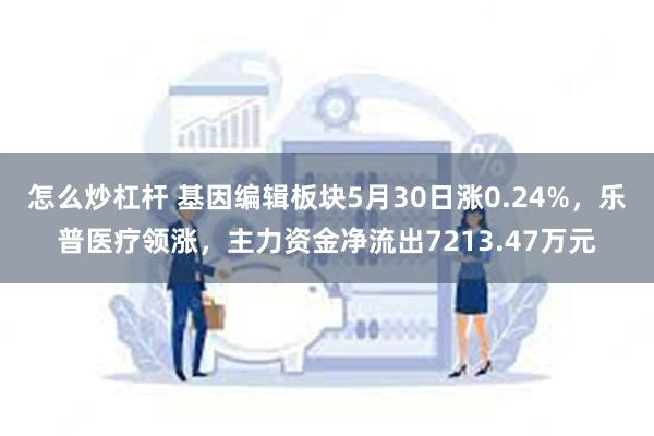 怎么炒杠杆 基因编辑板块5月30日涨0.24%，乐普医疗领涨，主力资金净流出7213.47万元