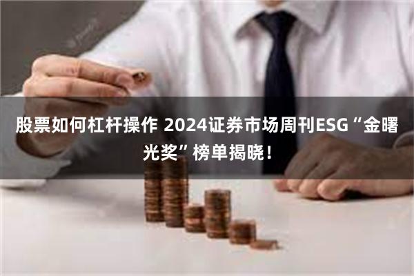 股票如何杠杆操作 2024证券市场周刊ESG“金曙光奖”榜单揭晓！