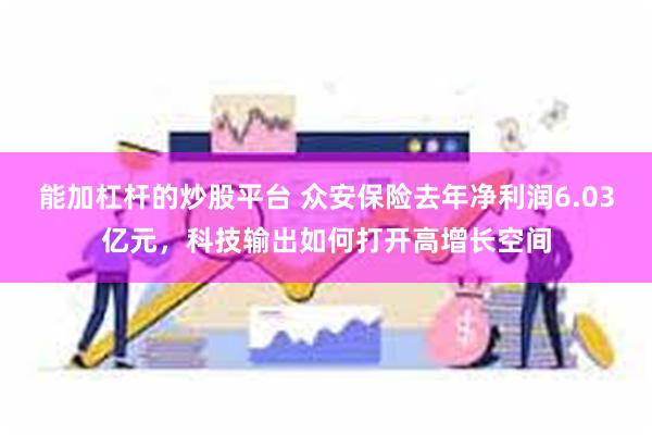 能加杠杆的炒股平台 众安保险去年净利润6.03亿元，科技输出如何打开高增长空间