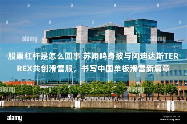 股票杠杆是怎么回事 苏翊鸣身披与阿迪达斯TERREX共创滑雪服，书写中国单板滑雪新篇章