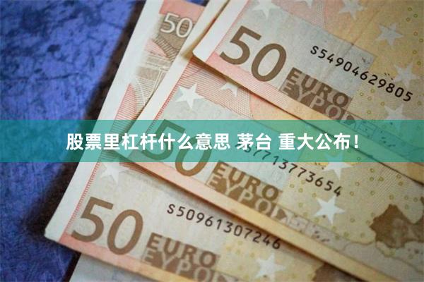 股票里杠杆什么意思 茅台 重大公布！
