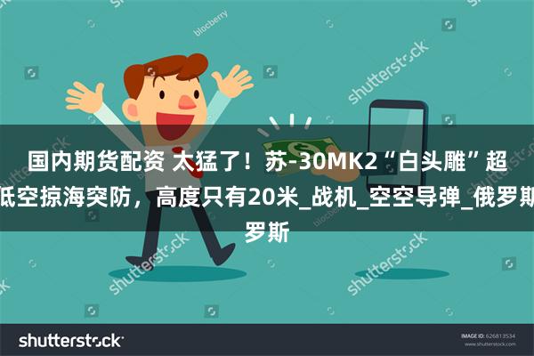 国内期货配资 太猛了！苏-30MK2“白头雕”超低空掠海突防，高度只有20米_战机_空空导弹_俄罗斯