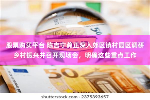 股票购买平台 陈吉宁龚正深入郊区镇村园区调研乡村振兴并召开现场会，明确这些重点工作