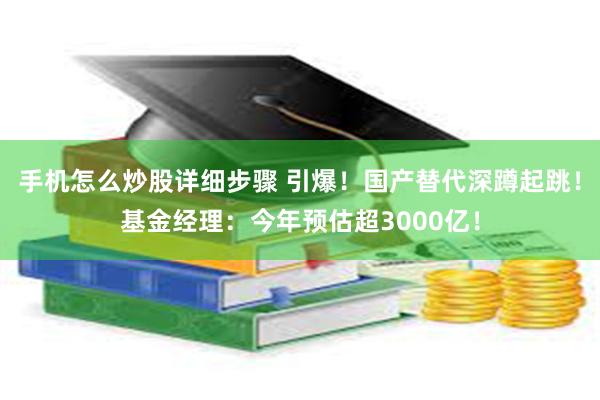 手机怎么炒股详细步骤 引爆！国产替代深蹲起跳！基金经理：今年预估超3000亿！