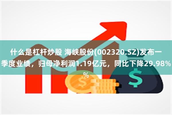什么是杠杆炒股 海峡股份(002320.SZ)发布一季度业绩，归母净利润1.19亿元，同比下降29.98%