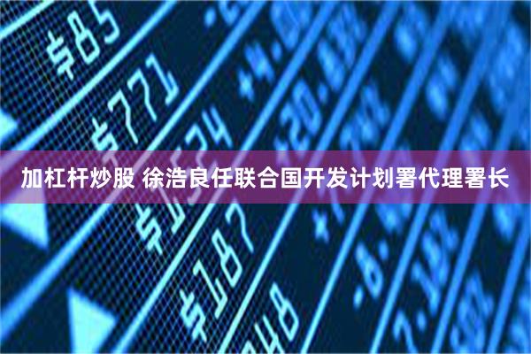 加杠杆炒股 徐浩良任联合国开发计划署代理署长