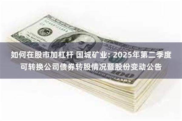 如何在股市加杠杆 国城矿业: 2025年第二季度可转换公司债券转股情况暨股份变动公告