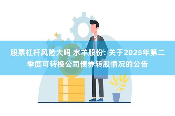 股票杠杆风险大吗 水羊股份: 关于2025年第二季度可转换公司债券转股情况的公告